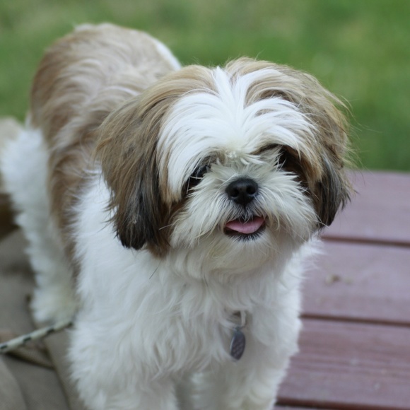 Meet your Posher, Mike - Picture 6 of 8